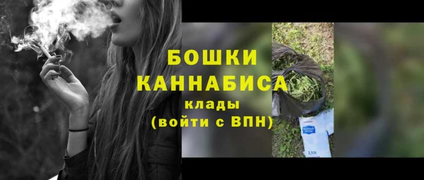 дурь Нягань