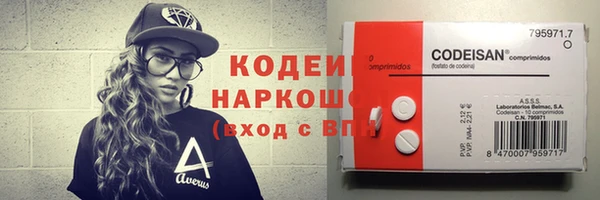 твердый Новодвинск