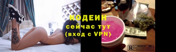 твердый Новодвинск