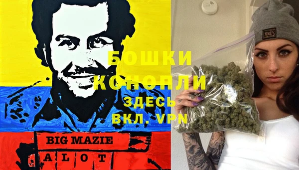 твердый Новодвинск