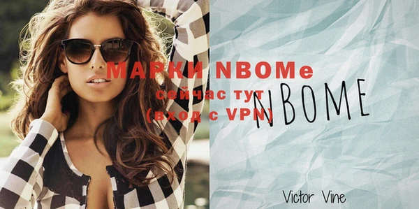 твердый Новодвинск