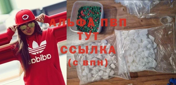 твердый Новодвинск