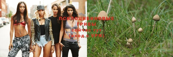 МДПВ Новокубанск