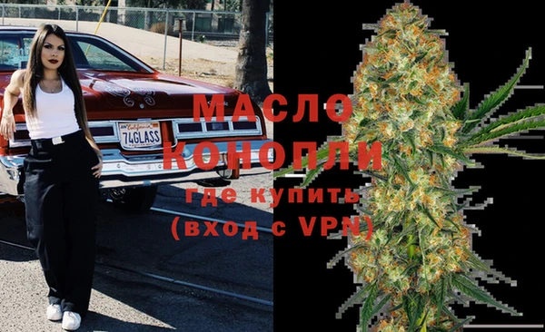 твердый Новодвинск