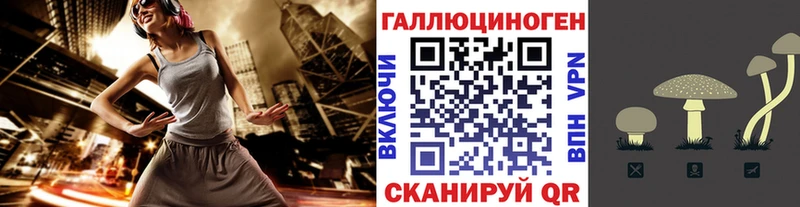 Купить  Курган  Псилоцибиновые грибы мухоморы 